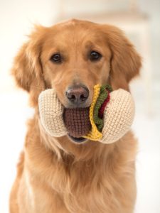 Crochet Dog Toy