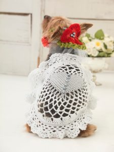 woof to the dress