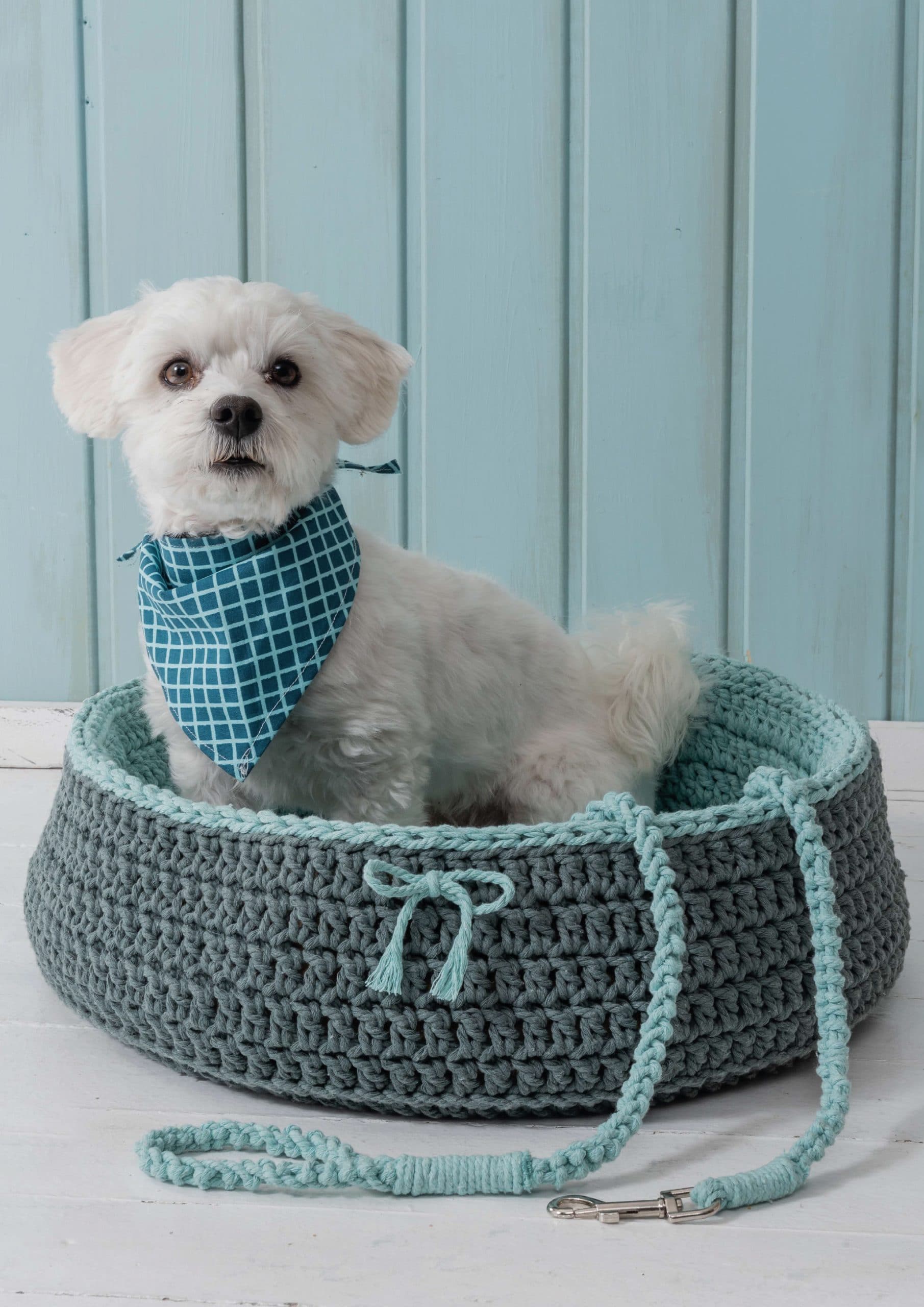 Dog Bed Crochet Pattern Crochets Crafts